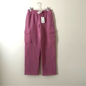 Aritzia Vintage Frozen Berry Cargo Pants